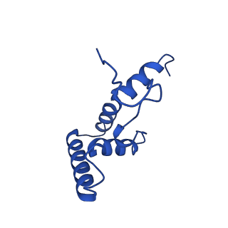 37388_8wa1_O_v1-0
The cryo-EM structure of the Nicotiana tabacum PEP-PAP-TEC2