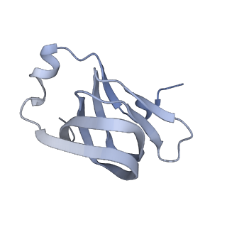 37388_8wa1_P_v1-0
The cryo-EM structure of the Nicotiana tabacum PEP-PAP-TEC2