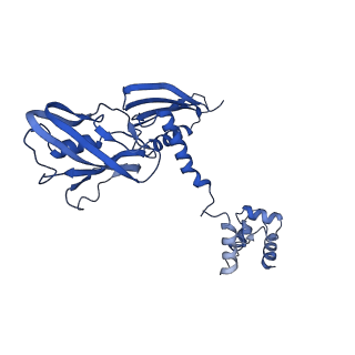 37388_8wa1_a_v1-0
The cryo-EM structure of the Nicotiana tabacum PEP-PAP-TEC2