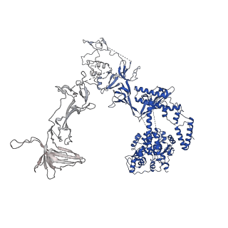 37388_8wa1_c_v1-0
The cryo-EM structure of the Nicotiana tabacum PEP-PAP-TEC2
