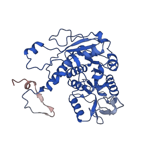 37388_8wa1_i_v1-0
The cryo-EM structure of the Nicotiana tabacum PEP-PAP-TEC2