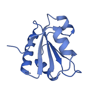 37388_8wa1_m_v1-0
The cryo-EM structure of the Nicotiana tabacum PEP-PAP-TEC2