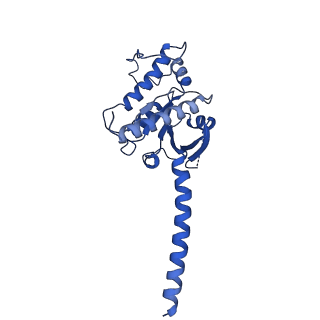 37390_8wa3_A_v1-0
Cryo-EM structure of peptide free and Gs-coupled GIPR