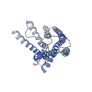 37390_8wa3_R_v1-0
Cryo-EM structure of peptide free and Gs-coupled GIPR