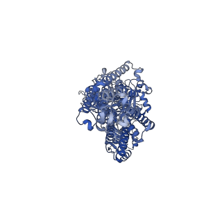 37391_8wa5_A_v1-1
Cryo-EM structure of the gastric proton pump Y799W/E936Q mutant in K+-occluded (K+)E2-AlF state