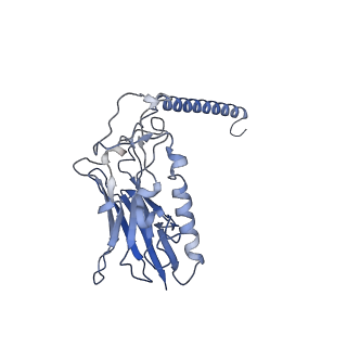 37391_8wa5_B_v1-1
Cryo-EM structure of the gastric proton pump Y799W/E936Q mutant in K+-occluded (K+)E2-AlF state
