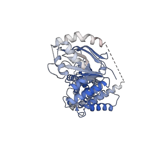 37397_8wam_A_v1-0
Cryo-EM structure of the ABCG25 E232Q mutant bound to ATP and Magnesium