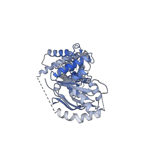 37397_8wam_B_v1-0
Cryo-EM structure of the ABCG25 E232Q mutant bound to ATP and Magnesium