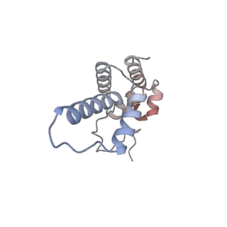 37404_8wat_r_v1-1
De novo transcribing complex 10 (TC10), the early elongation complex with Pol II positioned 10nt downstream of TSS