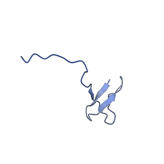 37404_8wat_z_v1-1
De novo transcribing complex 10 (TC10), the early elongation complex with Pol II positioned 10nt downstream of TSS