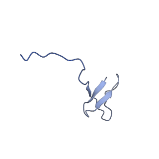 37405_8wau_z_v1-1
De novo transcribing complex 11 (TC11), the early elongation complex with Pol II positioned 11nt downstream of TSS