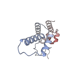 37406_8wav_r_v1-1
De novo transcribing complex 12 (TC12), the early elongation complex with Pol II positioned 12nt downstream of TSS