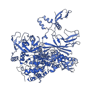37407_8waw_p_v1-1
De novo transcribing complex 13 (TC13), the early elongation complex with Pol II positioned 13nt downstream of TSS