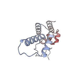37408_8wax_r_v1-1
De novo transcribing complex 14 (TC14), the early elongation complex with Pol II positioned 14nt downstream of TSS
