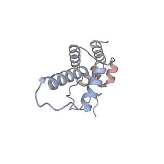 37409_8way_r_v1-1
De novo transcribing complex 15 (TC15), the early elongation complex with Pol II positioned 15nt downstream of TSS