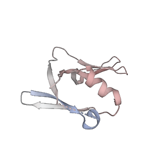 37410_8waz_T_v1-1
De novo transcribing complex 16 (TC16), the early elongation complex with Pol II positioned 16nt downstream of TSS