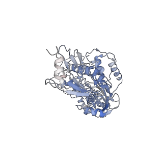 21583_6wb0_A_v1-1
+3 extended HIV-1 reverse transcriptase initiation complex core (pre-translocation state)