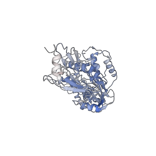 21583_6wb0_A_v1-2
+3 extended HIV-1 reverse transcriptase initiation complex core (pre-translocation state)