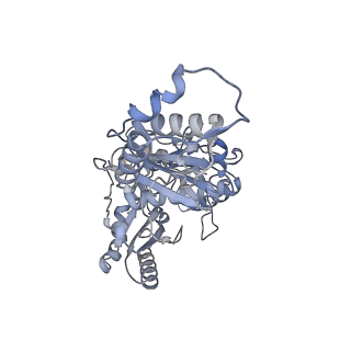 21583_6wb0_B_v1-1
+3 extended HIV-1 reverse transcriptase initiation complex core (pre-translocation state)