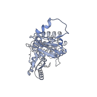 21583_6wb0_B_v1-2
+3 extended HIV-1 reverse transcriptase initiation complex core (pre-translocation state)