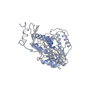 21584_6wb1_A_v1-2
+3 extended HIV-1 reverse transcriptase initiation complex core (intermediate state)