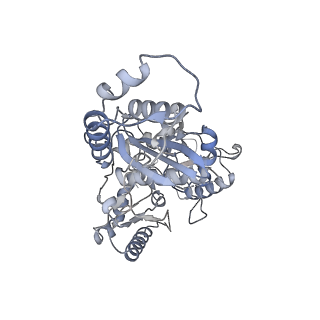 21584_6wb1_B_v1-1
+3 extended HIV-1 reverse transcriptase initiation complex core (intermediate state)