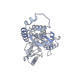 21584_6wb1_B_v1-2
+3 extended HIV-1 reverse transcriptase initiation complex core (intermediate state)