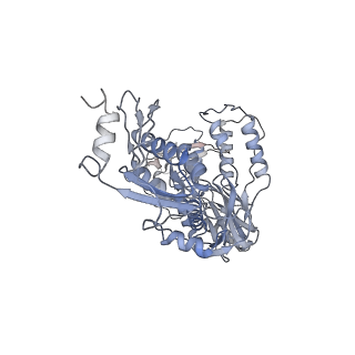 21585_6wb2_A_v1-1
+3 extended HIV-1 reverse transcriptase initiation complex core (displaced state)