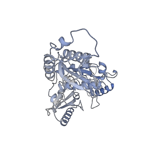 21585_6wb2_B_v1-1
+3 extended HIV-1 reverse transcriptase initiation complex core (displaced state)