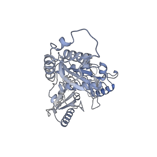21585_6wb2_B_v1-2
+3 extended HIV-1 reverse transcriptase initiation complex core (displaced state)