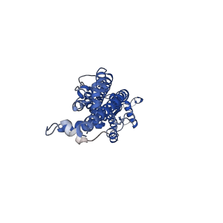 21589_6wbg_A_v2-0
Cryo-EM structure of human Pannexin 1 channel with its C-terminal tail cleaved by caspase-7