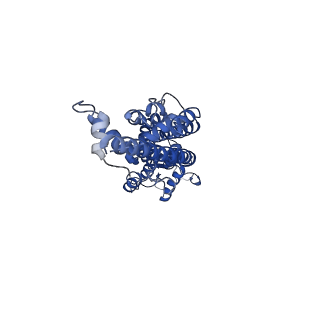 21589_6wbg_B_v1-3
Cryo-EM structure of human Pannexin 1 channel with its C-terminal tail cleaved by caspase-7