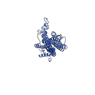 21589_6wbg_C_v2-0
Cryo-EM structure of human Pannexin 1 channel with its C-terminal tail cleaved by caspase-7