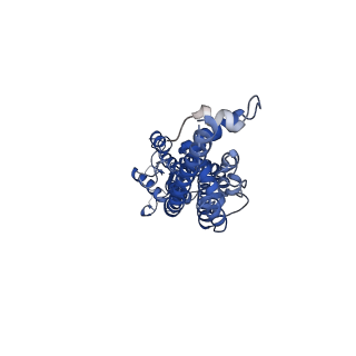 21589_6wbg_D_v2-0
Cryo-EM structure of human Pannexin 1 channel with its C-terminal tail cleaved by caspase-7