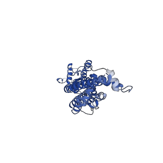 21589_6wbg_E_v1-3
Cryo-EM structure of human Pannexin 1 channel with its C-terminal tail cleaved by caspase-7