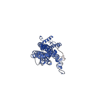 21589_6wbg_F_v1-3
Cryo-EM structure of human Pannexin 1 channel with its C-terminal tail cleaved by caspase-7