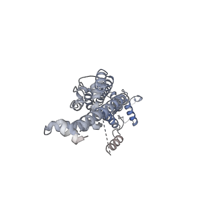 21590_6wbi_A_v1-2
Cryo-EM structure of human Pannexin 1 channel with its C-terminal tail cleaved by caspase-7, in complex with CBX