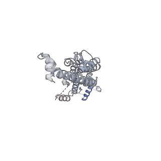 21590_6wbi_B_v1-2
Cryo-EM structure of human Pannexin 1 channel with its C-terminal tail cleaved by caspase-7, in complex with CBX