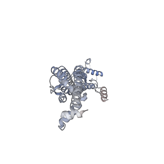 21590_6wbi_G_v1-2
Cryo-EM structure of human Pannexin 1 channel with its C-terminal tail cleaved by caspase-7, in complex with CBX