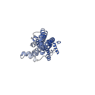 21593_6wbm_A_v1-2
Cryo-EM structure of human Pannexin 1 channel N255A mutant