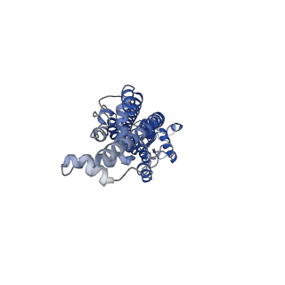 21593_6wbm_A_v2-0
Cryo-EM structure of human Pannexin 1 channel N255A mutant