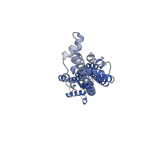 21593_6wbm_C_v1-2
Cryo-EM structure of human Pannexin 1 channel N255A mutant