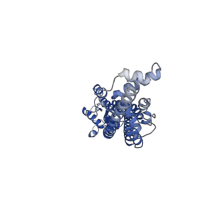 21593_6wbm_D_v1-2
Cryo-EM structure of human Pannexin 1 channel N255A mutant