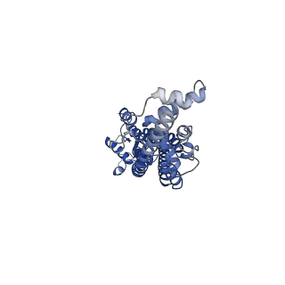 21593_6wbm_D_v2-0
Cryo-EM structure of human Pannexin 1 channel N255A mutant