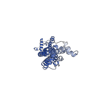 21593_6wbm_E_v1-2
Cryo-EM structure of human Pannexin 1 channel N255A mutant