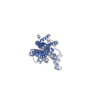 21593_6wbm_F_v1-2
Cryo-EM structure of human Pannexin 1 channel N255A mutant