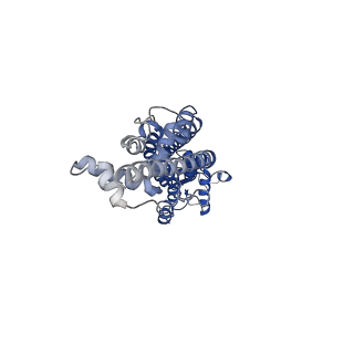 21594_6wbn_A_v1-2
Cryo-EM structure of human Pannexin 1 channel N255A mutant, gap junction