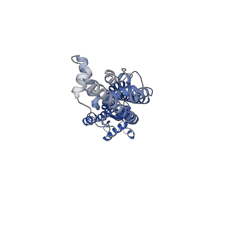 21594_6wbn_B_v1-2
Cryo-EM structure of human Pannexin 1 channel N255A mutant, gap junction