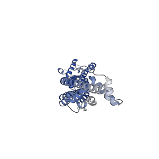 21594_6wbn_E_v1-2
Cryo-EM structure of human Pannexin 1 channel N255A mutant, gap junction