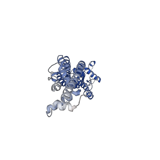 21594_6wbn_G_v1-2
Cryo-EM structure of human Pannexin 1 channel N255A mutant, gap junction